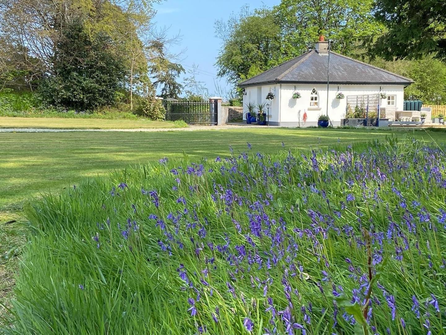 Rathjarney Gatelodge Wexford Extérieur photo